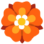 :rosette: